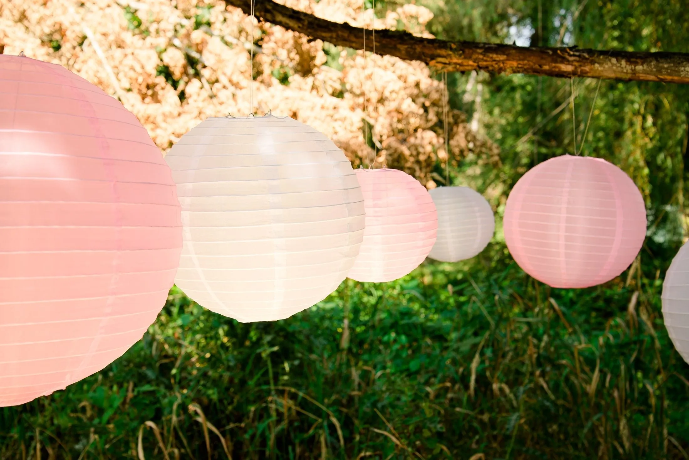 8 in. Paper Lantern (5 Colors)