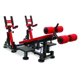 Atlantis Strength P-539 Precision Series Decline Dumbbell Bench Press with Pivots