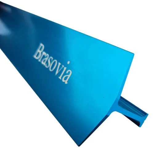 Brasovia Snow Picket